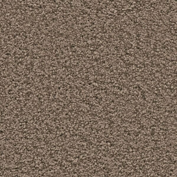 Newberry lichtbruin 0602 | 400 cm - Tapijt | Lapy