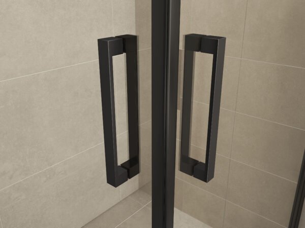 Salone cabine met 2 draaideuren 900 x 900 x 2000 x 8 mm nano helder glas/mat zwart - Douches | Lapy