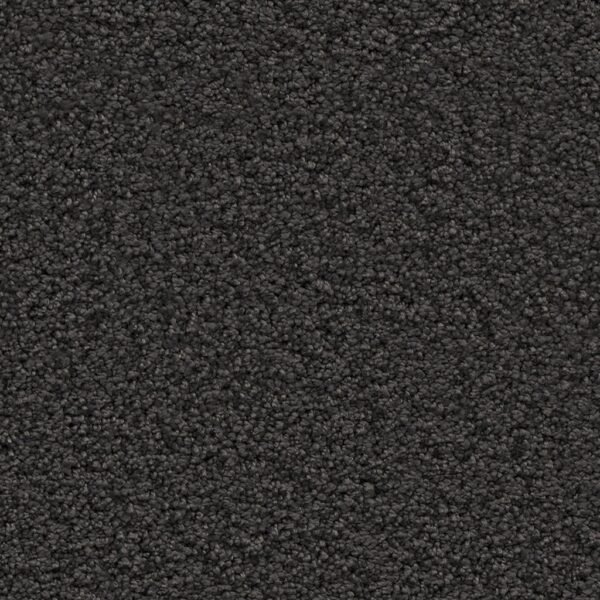 Newberry zwart 0200 | 400 cm - Tapijt | Lapy