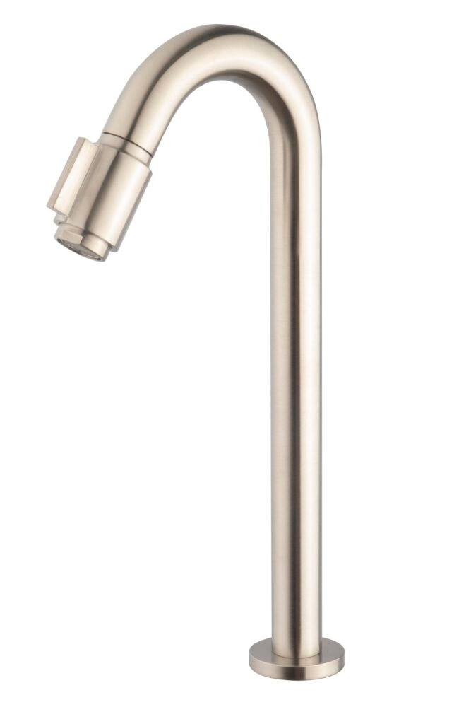 Caral Victoria fonteinkraan XL 1/2'' geborsteld staal PVD