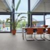 Westminster click SRC light grey - PVC Vloeren | Lapy