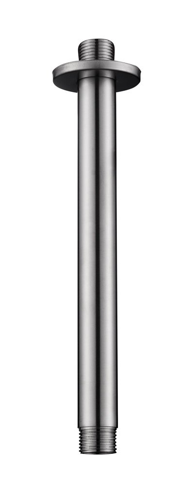 304 douchearm met plafondbevestiging rond 20 cm geborsteld RVS