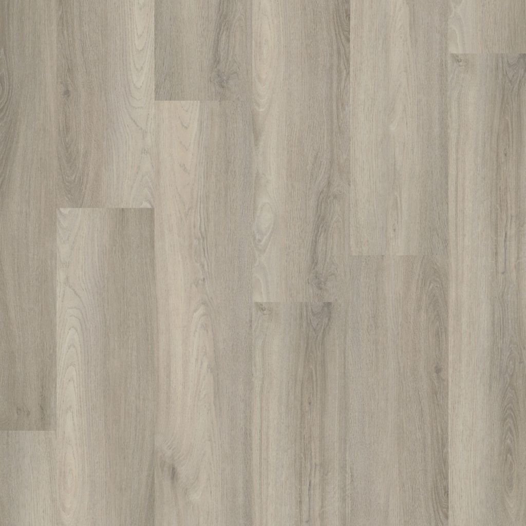 Paddington dryback light grey