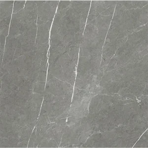 Baldocer Eternal Dark Mate 60X60 Mat - Vloertegels Marmerlook | Lapy