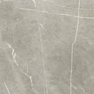Baldocer Eternal Taupe Mate 60X60 Mat - Vloertegels Marmerlook | Lapy