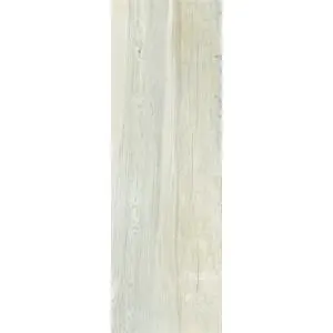 Castelvetro Aequa Nix 26X160 Mat