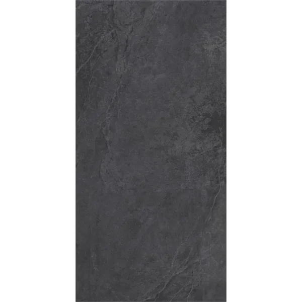 Dutch Design Evolution Black 60X120 Mat