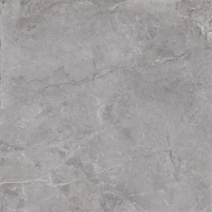 Dutch Design Evolution Grey 100X100 Mat - Vloertegels Natuursteenlook | Lapy