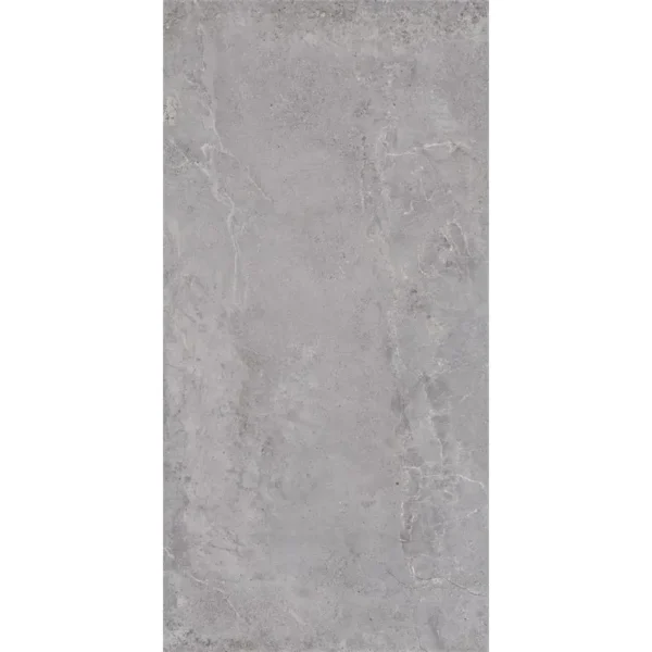 Dutch Design Evolution Grey 60X120 Mat