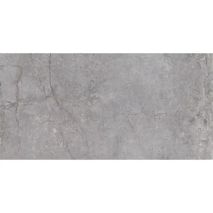 Dutch Design Evolution Grey 30X60 Mat - Vloertegels Natuursteenlook | Lapy