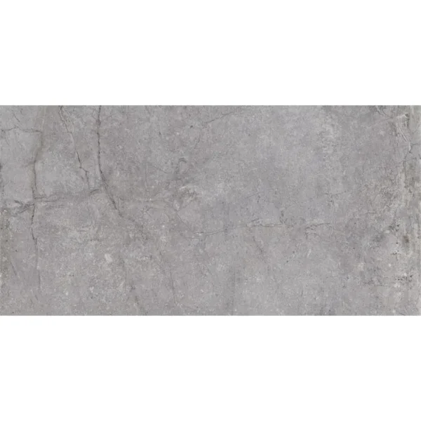 Dutch Design Evolution Grey 30X60 Mat - Vloertegels Natuursteenlook | Lapy