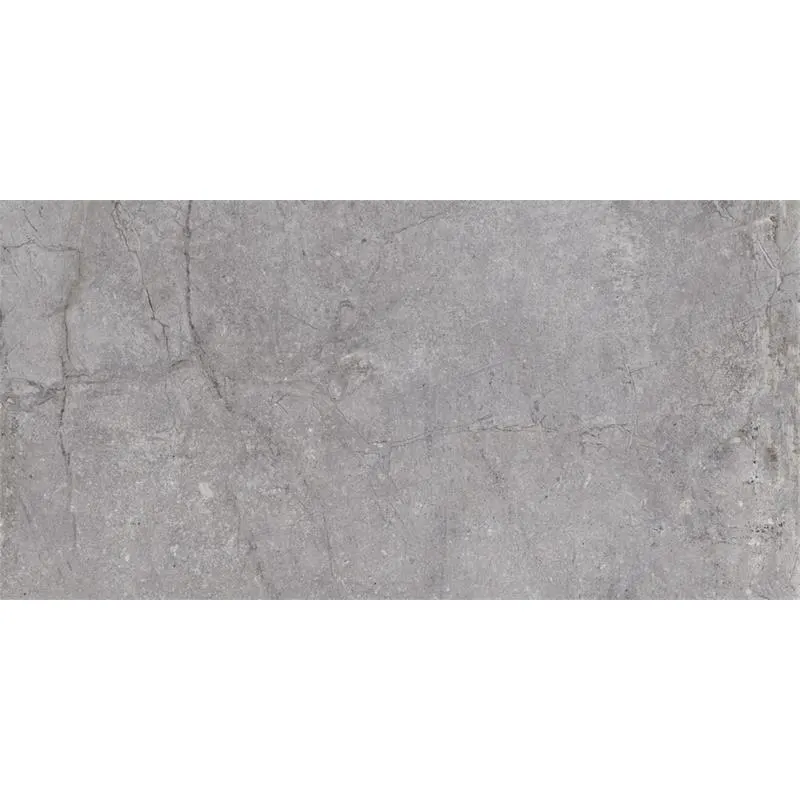 Dutch Design Evolution Grey 30X60 Mat