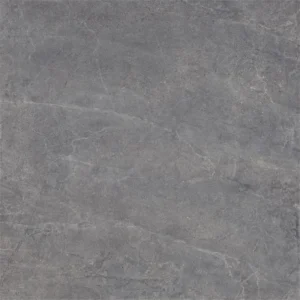 Dutch Design Evolution Titanium 100X100 Mat - Vloertegels Natuursteenlook | Lapy
