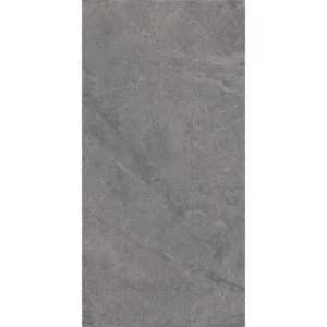 Dutch Design Evolution Titanium 60X120 Mat - Vloertegels Natuursteenlook | Lapy