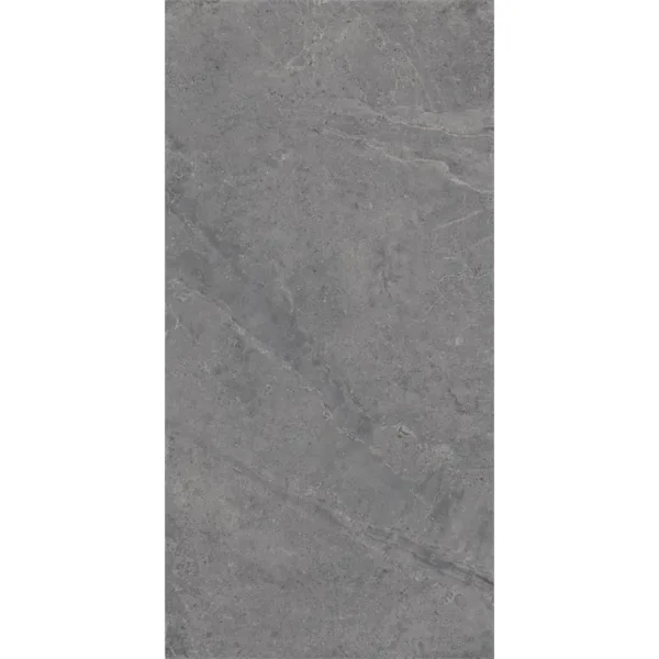Dutch Design Evolution Titanium 60X120 Mat