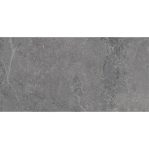 Dutch Design Evolution Titanium 30X60 Mat - Vloertegels Natuursteenlook | Lapy
