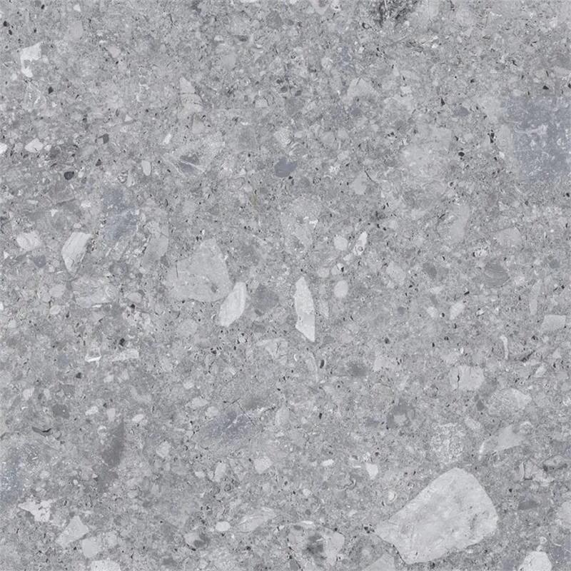 Energieker Ceppo Di Gré Grey 120X120 Mat