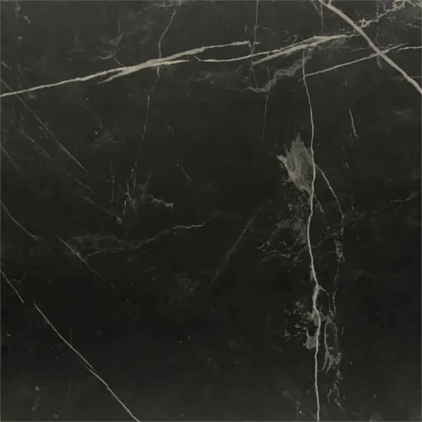 Energieker Marquina Black Nat. 120X120 Mat - Vloertegels Marmerlook | Lapy