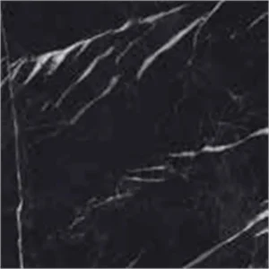 Energieker Marquina Black Lev. 60X60 Glans - Vloertegels Marmerlook | Lapy