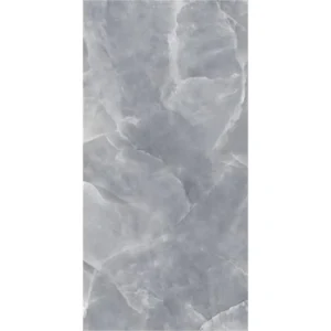 Energieker Onyx Grey Lev. 60X120 Glans - Vloertegels Marmerlook | Lapy