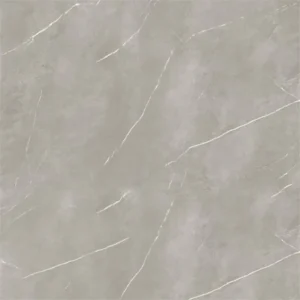 Energieker Pietragrey Fog Nat. 120X120 Mat - Vloertegels Marmerlook | Lapy