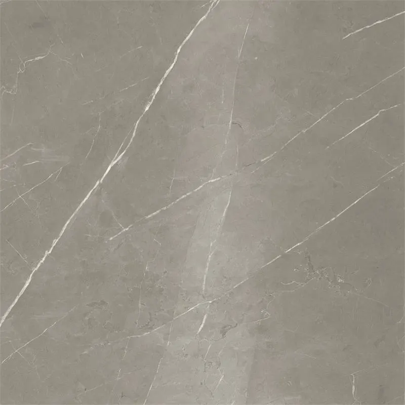 Energieker Pietragrey Fog Lev. 120X120 Glans
