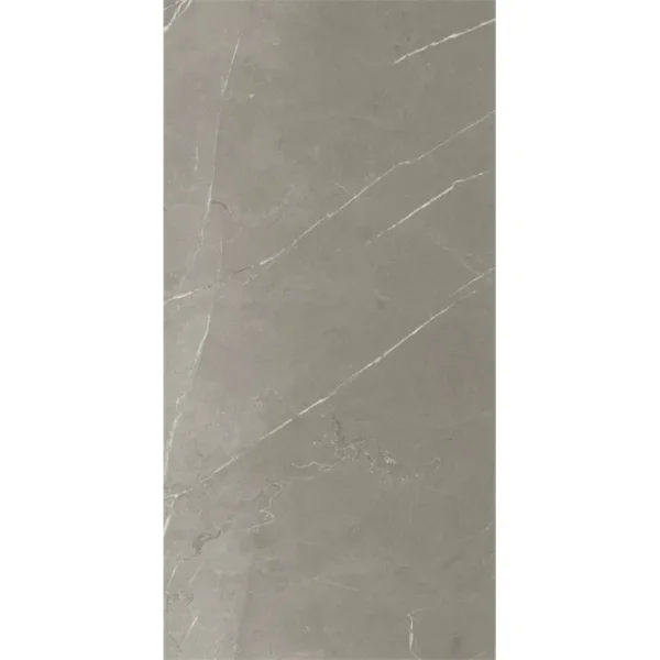 Energieker Pietragrey Fog Lev. 60X120 Glans - Vloertegels Marmerlook | Lapy