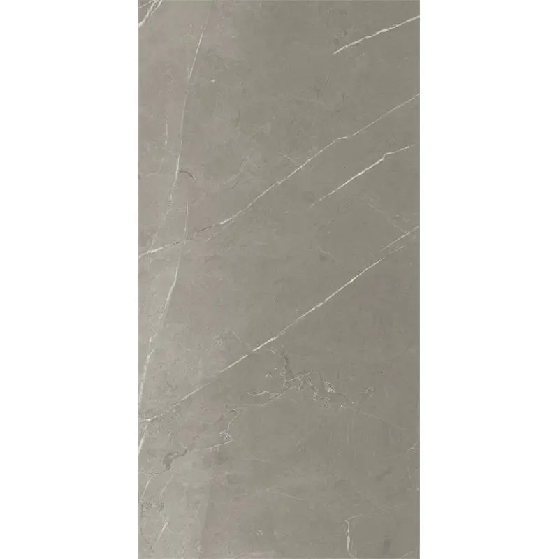 Energieker Pietragrey Fog Lev. 60X120 Glans
