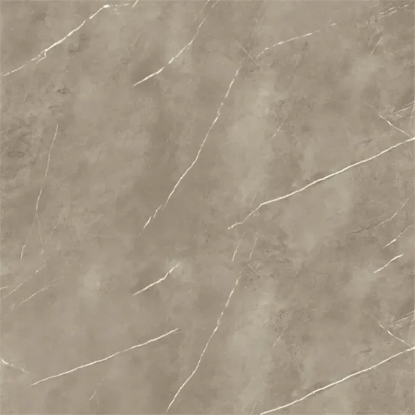 Energieker Pietragrey Taupe Nat. 120X120 Mat