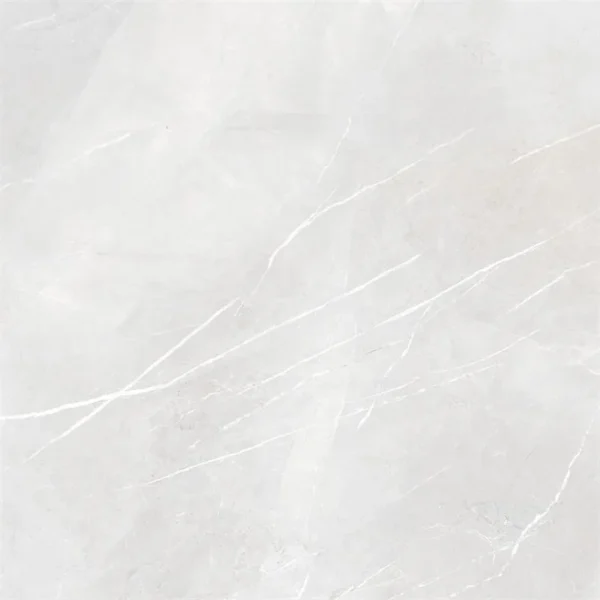 Energieker Pietragrey White Nat. 120X120 Mat - Vloertegels Marmerlook | Lapy