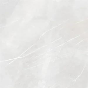 Energieker Pietragrey White Lev. 120X120 Glans - Vloertegels Marmerlook | Lapy