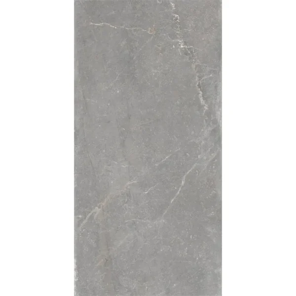 Keraben Bleuemix Grey Soft 60X120 Mat - Vloertegels Natuursteenlook | Lapy