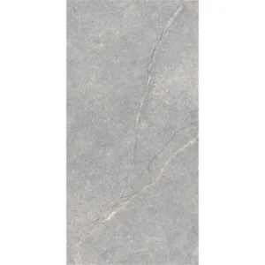 Lea Anthology Gray Worn 60X120 Mat - Vloertegels Natuursteenlook | Lapy