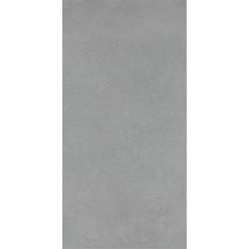 Lea Masterpiece Master Gray 60X120 Mat