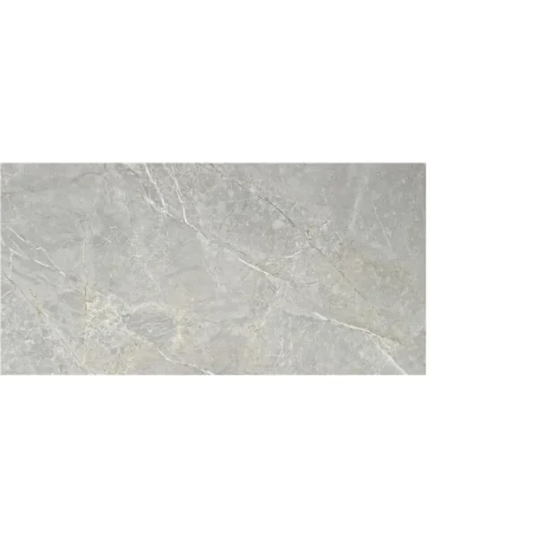 Stn Syrah Light 60X120 Mat