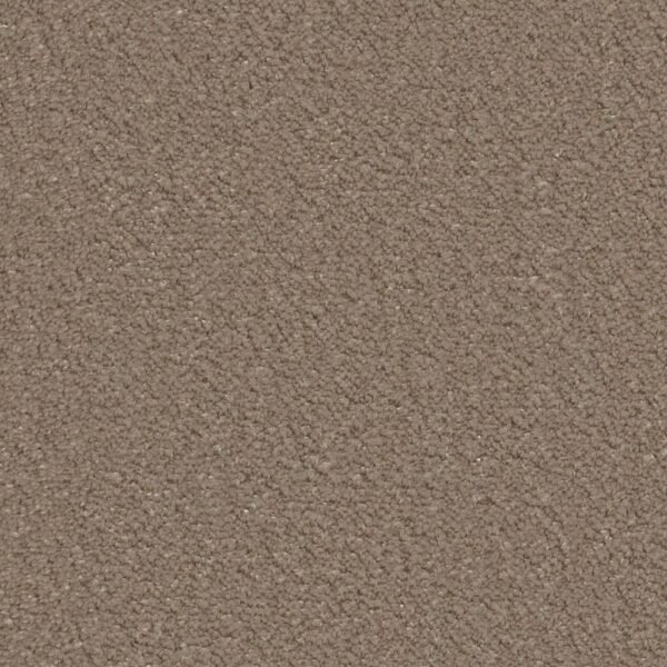Lodi taupe 0535 | 400cm - Tapijt | Lapy