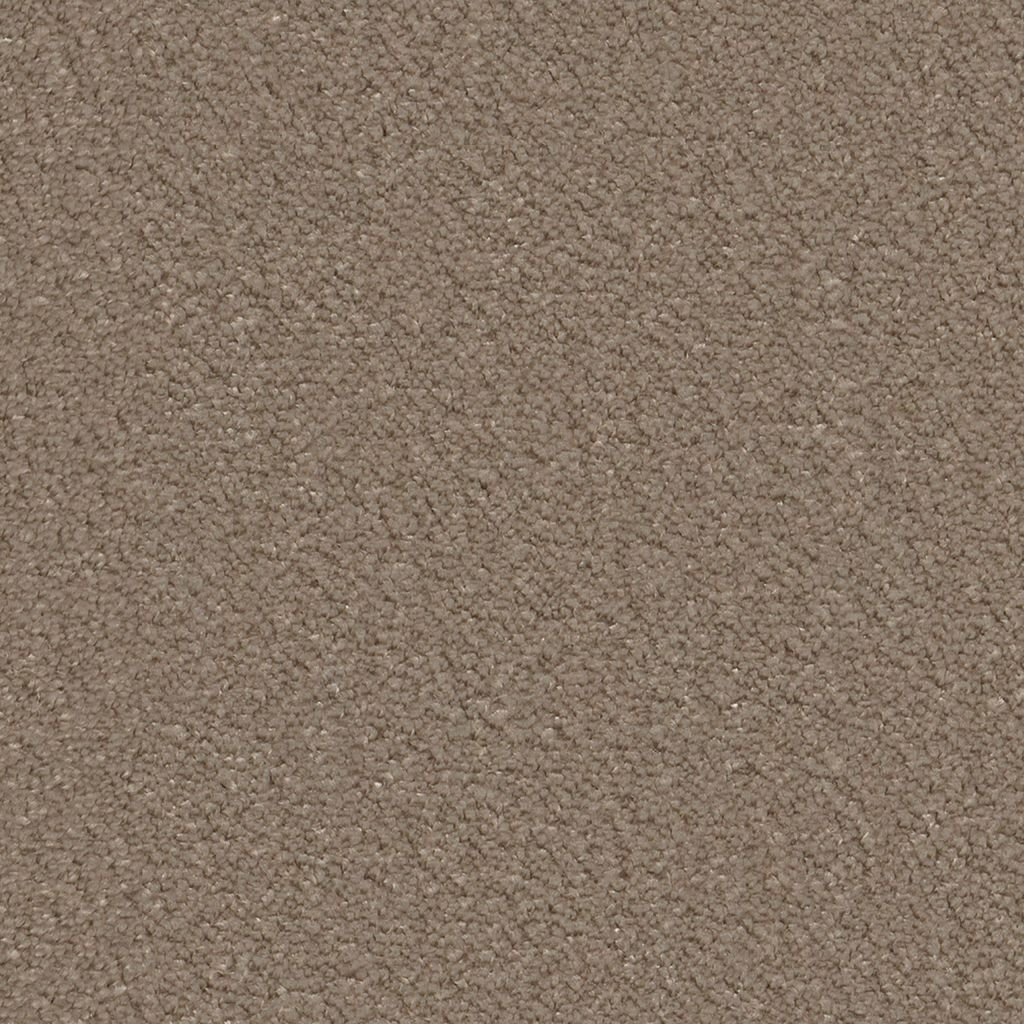 Lodi taupe 0535 | 400cm