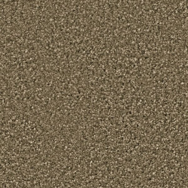 Newberry olijf 0912 | 400 cm - Tapijt | Lapy