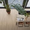 Queens naturel eiken - Laminaat | Lapy