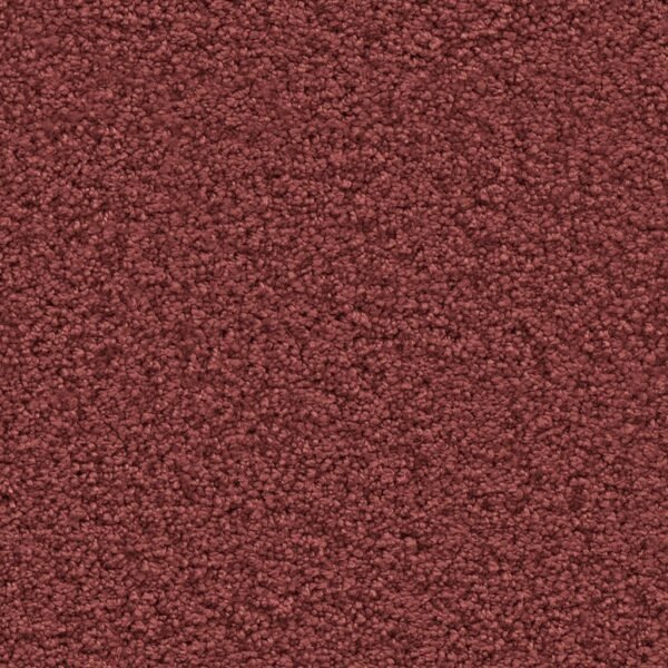 Newberry rood 1000 | 400 cm - Tapijt | Lapy