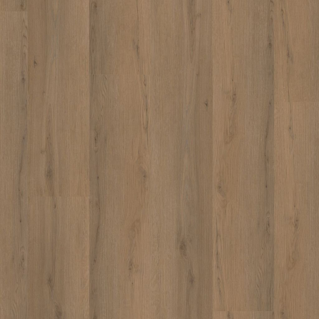 Barnet dryback dark oak