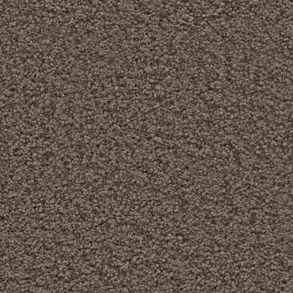 Newberry bruin 0600 | 400 cm - Tapijt | Lapy