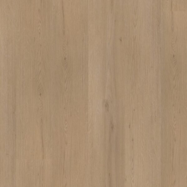 Barnet dryback natural oak - PVC Vloeren | Lapy