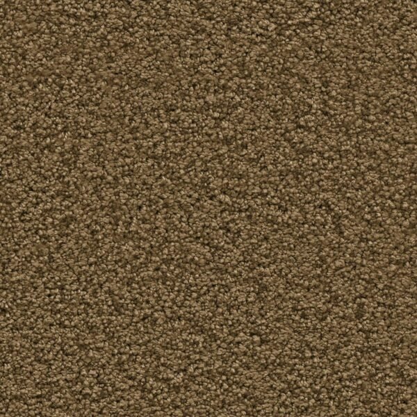 Newberry mosterd 0996 | 400 cm - Tapijt | Lapy
