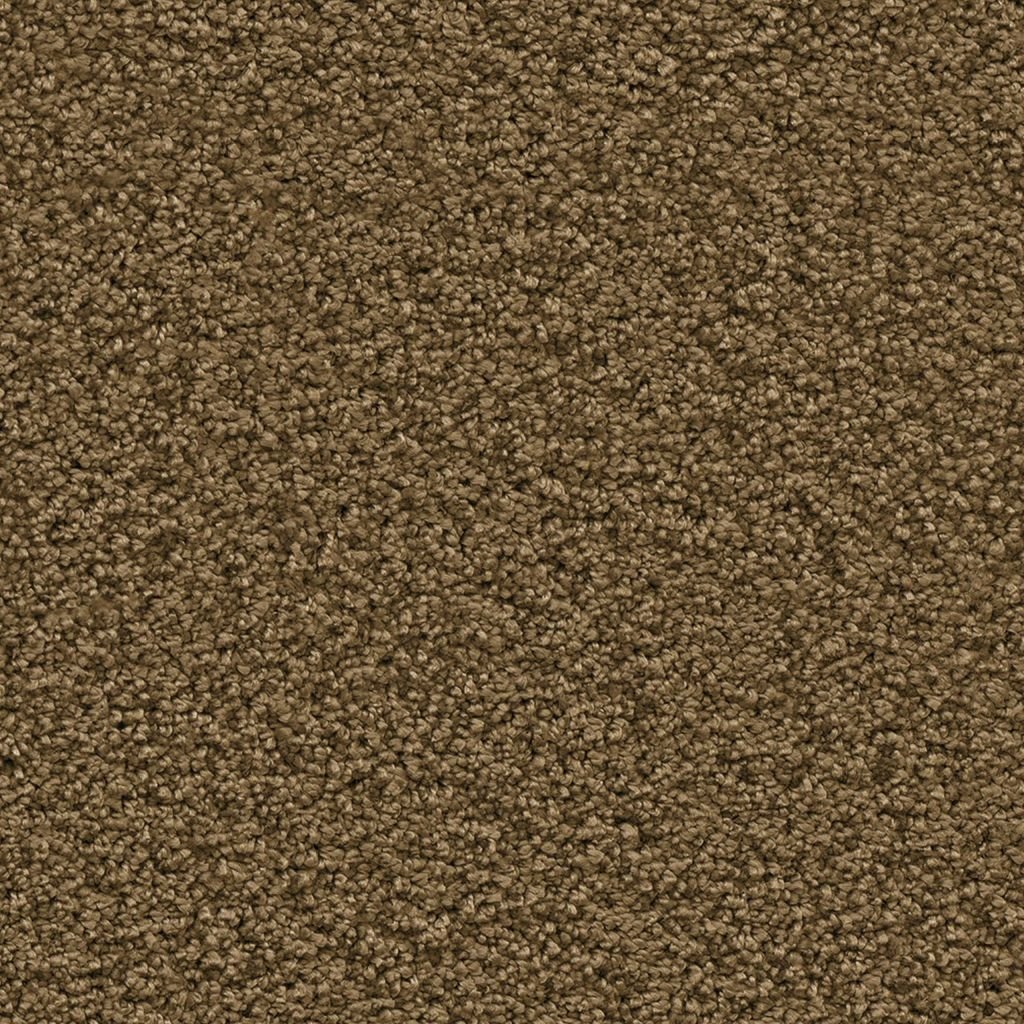 Newberry mosterd 0996 | 400 cm