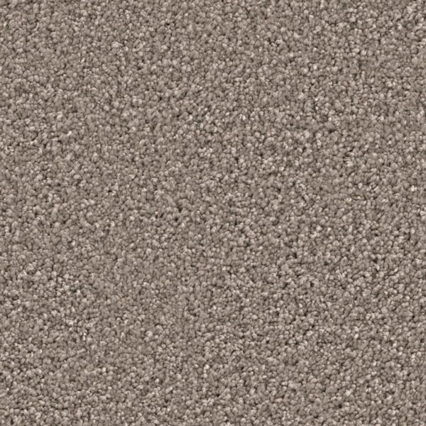 Newberry greige 0195 | 400 cm - Tapijt | Lapy