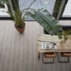 Parramatta dryback grey oak - PVC Vloeren | Lapy