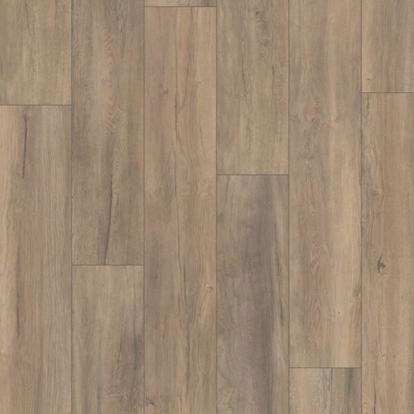 Xtra wide harbour eiken beige D4747 - Laminaat | Lapy