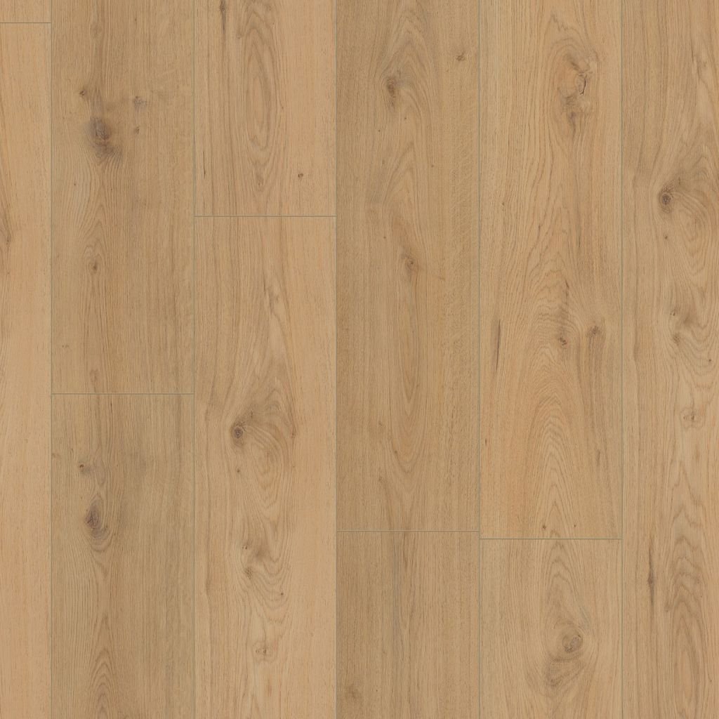 Surprise millenium oak SP805