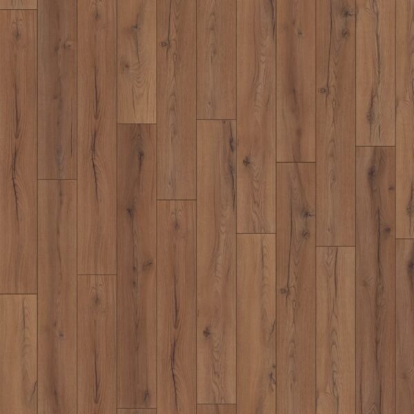 Century Oak naturel eiken D4238 WR - Laminaat | Lapy